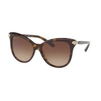 Bvlgari Sunglasses BV8188B 504/13