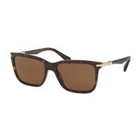 Bvlgari Sunglasses BV7028K Polarized 528683