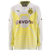 bvb away goalkeeper shirt 201415