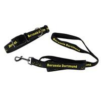 BVB Collar and Lead - Large, N/A