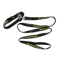 BVB Collar and Lead - Small, N/A