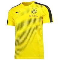bvb training stadium jersey yellow yellow