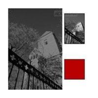 B+W (091) 52mm F-Pro