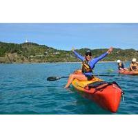 Byron Bay Dolphin Sea Kayak Tour