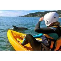 Byron Bay Combo: Hinterland Tour Including Minyon Falls and Kayaking with Dolphins
