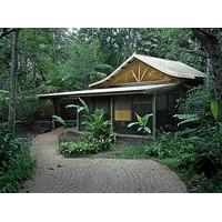 byron bay rainforest resort