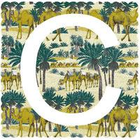 C is For Camel By Clare Halifax