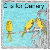 C is for Canary By Clare Halifax