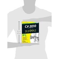 c 2010 all in one for dummies