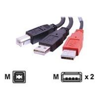 C2G 2m USB 2.0 One B Male to Two A Male Y-Cable