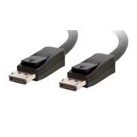 C2g (10m) Displayport (male) To Displayport (male) Cable With Latches