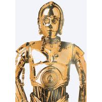 C3P0 Wanted By Trafford Parsons