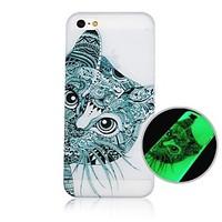 CaseBox Cartoon Cat Fluorescence after Sunniness Back Case for iPhone5/5S