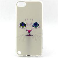 Cat Painting Pattern TPU Soft Case for iPod Touch 5