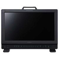 Canon DP-V1710 17-inch 4K Display