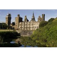 cardiff castle