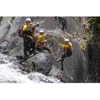 Cairns Canyoning Experience from Cairns or Northern Beaches
