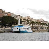 Cartagena Sightseeing Cruise and Fortress of \'Navidad\'
