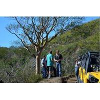 Candelaria Beach and Desert 4x4 Double ATV Tour