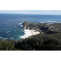 Cape Peninsula Cultural Day Tour