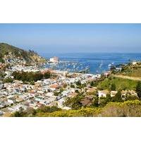 Catalina Island Avalon Scenic Tour