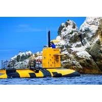 Catalina Island Semi-Submarine Undersea Tour