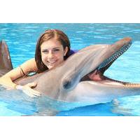 Cabo Dolphin Encounters