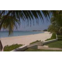 Cayman in a Nutshell Island Tour