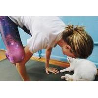 Cat Yoga at Catmosphere Cafe Sydney