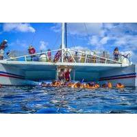 Catamaran Party Cruise and Dunn\'s River Falls Tour from Runaway Bay