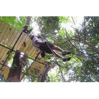 Canopy Zip Line and Safari Tour from Falmouth