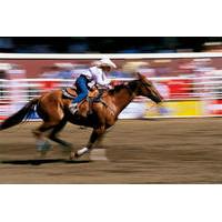 Calgary Stampede Including Overnight Accommodation