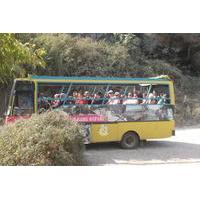 Cabrio Bus Safari and Village Tour