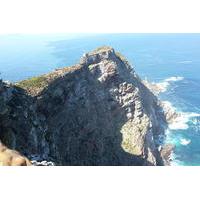 Cape Point and False Bay Towns Tour from Cape Town