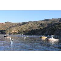 catalina island two harbors tour from avalon