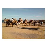 Camel Ride on Mojácar Beach