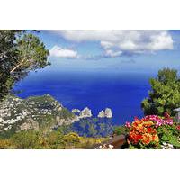 capri day cruise from sorrento