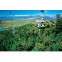 cairns shore excursion small group skyrail rainforest cableway and kur ...