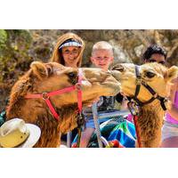 Camel Ride and Animal Sanctuary Tour in Los Cabos