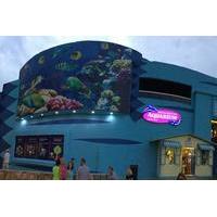 Cancun Interactive Aquarium Admission Ticket