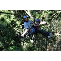 Canopy Tour from Playa Hermosa
