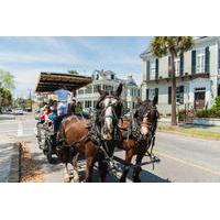 carriage tour of historic charleston