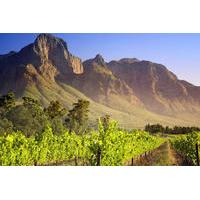 Cape Winelands Guided Private Day Tour