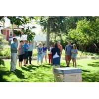 Calgary Food Walking Tour