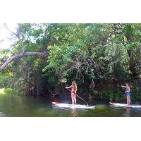 Cairns River and Rainforest Stand Up Paddleboard Tour