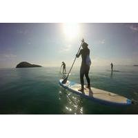 Cairns Double Island Stand Up Paddleboard Tour