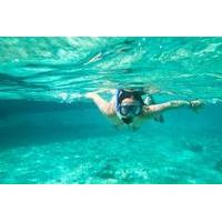 cades reef snorkel cruise