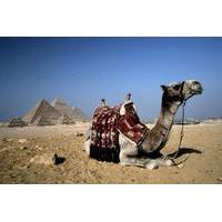 Cairo 1 Day Tour by Plane from Sharm El Sheikh