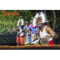 cairns combo tjapukai aboriginal cultural park morning tour and aftern ...