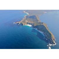 cape point sightseeing tour